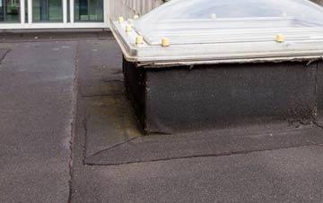 disadvantages of Puckshole flat roofs